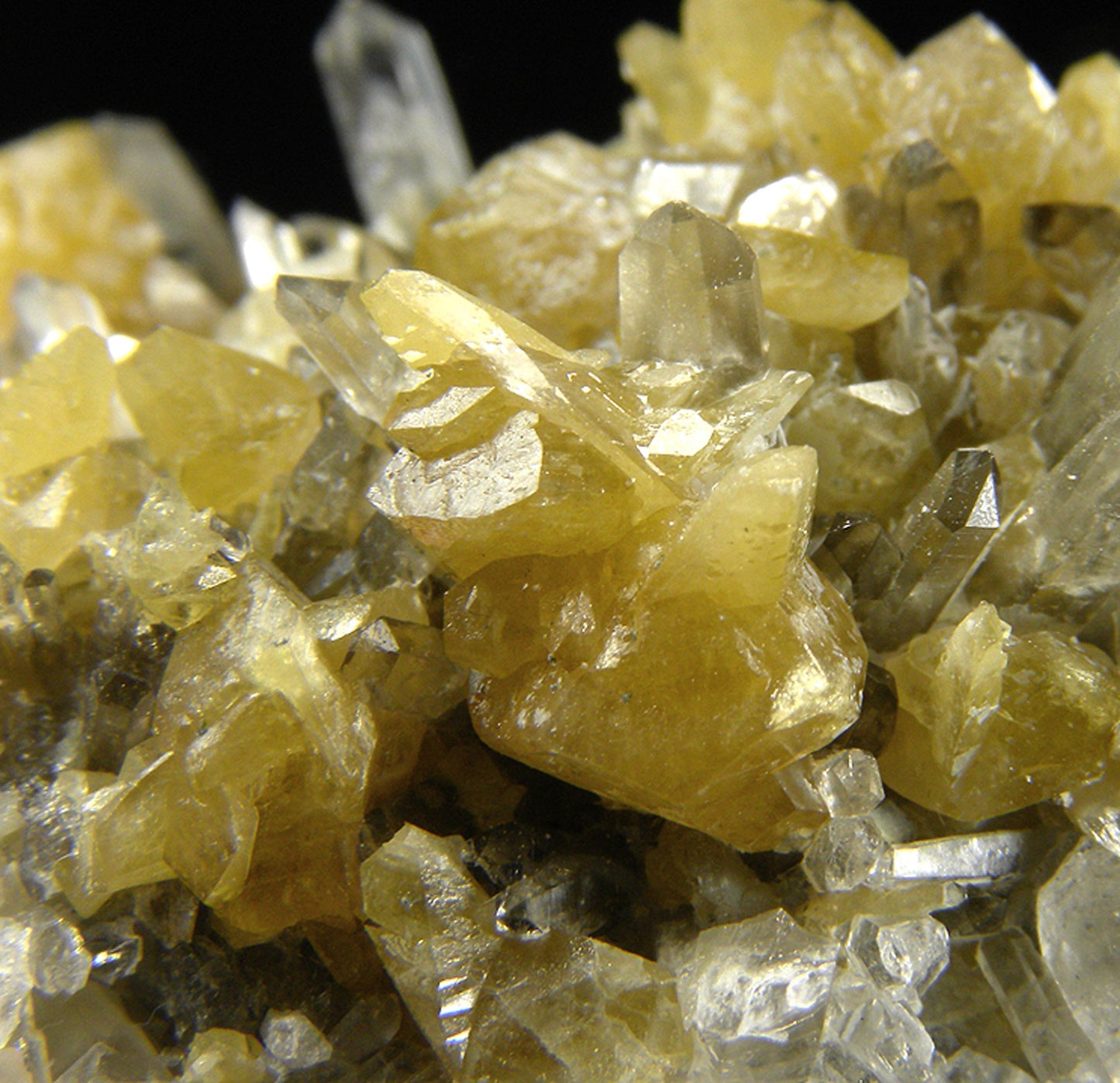 Monazite-(Ce) with Quartz