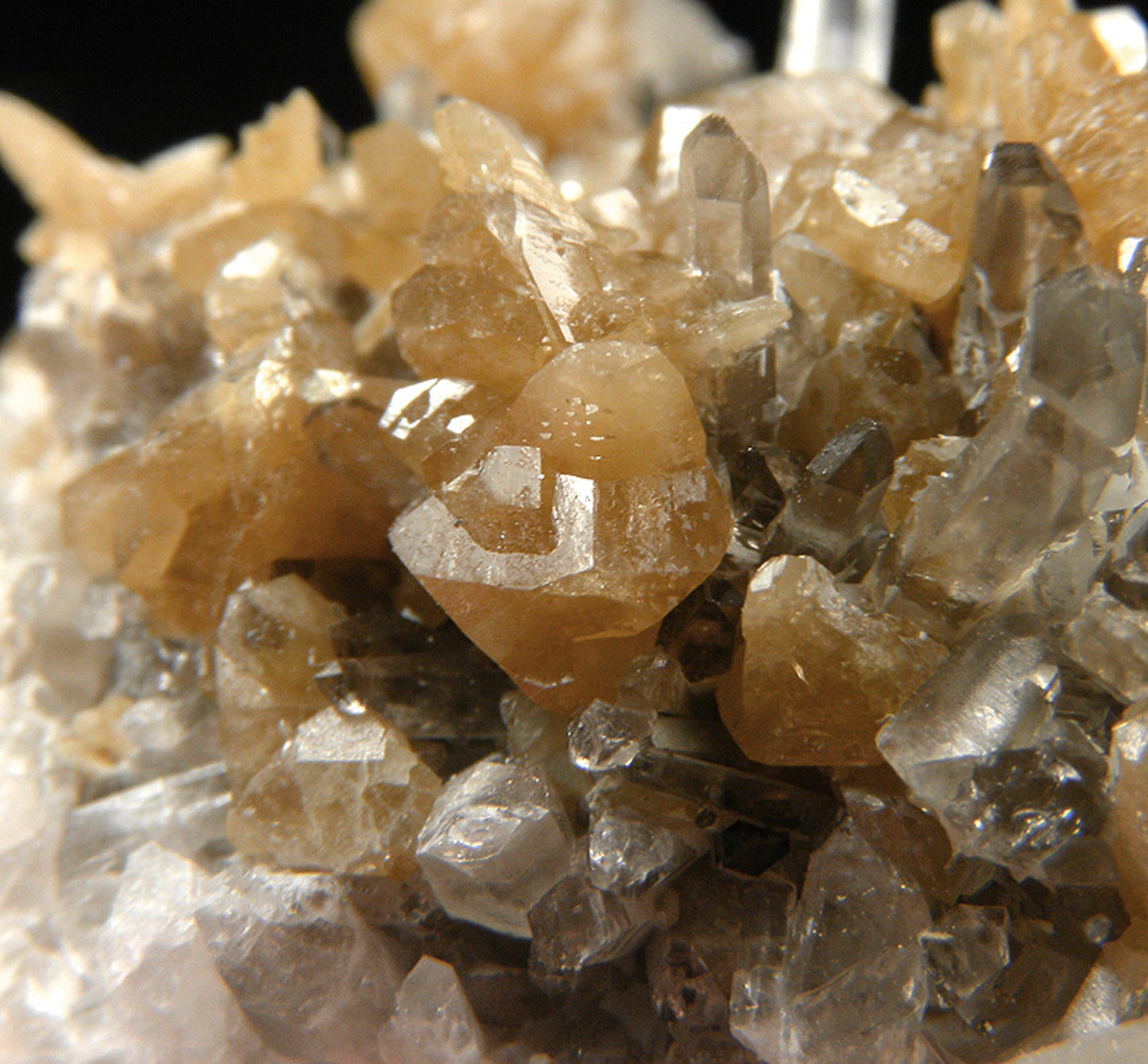 Monazite-(Ce) with Quartz