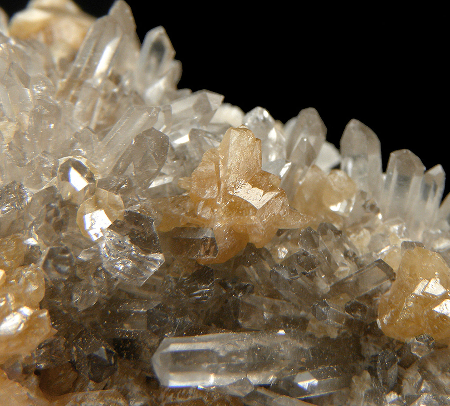 Monazite-(Ce) with Quartz