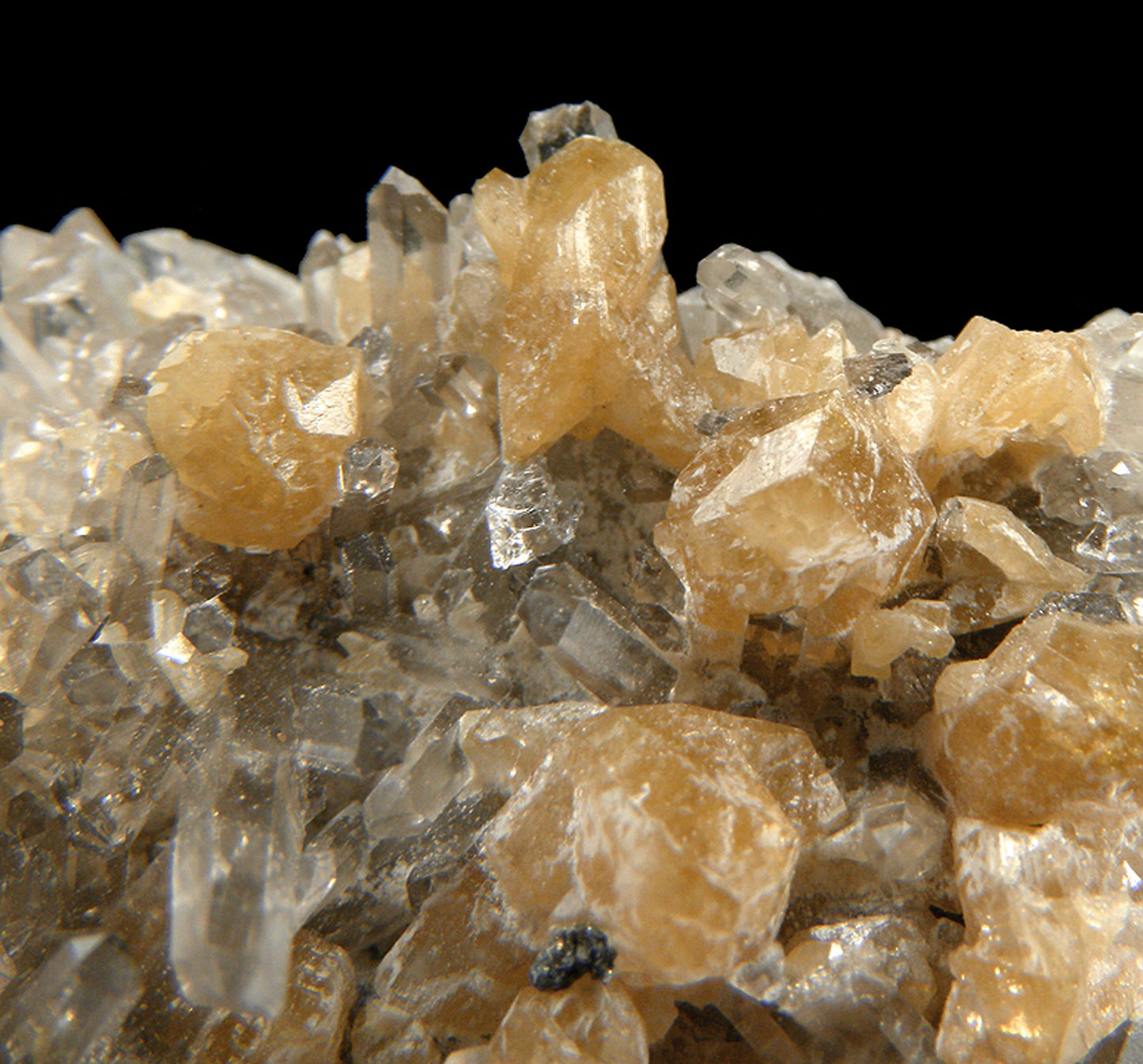 Monazite-(Ce) with Quartz