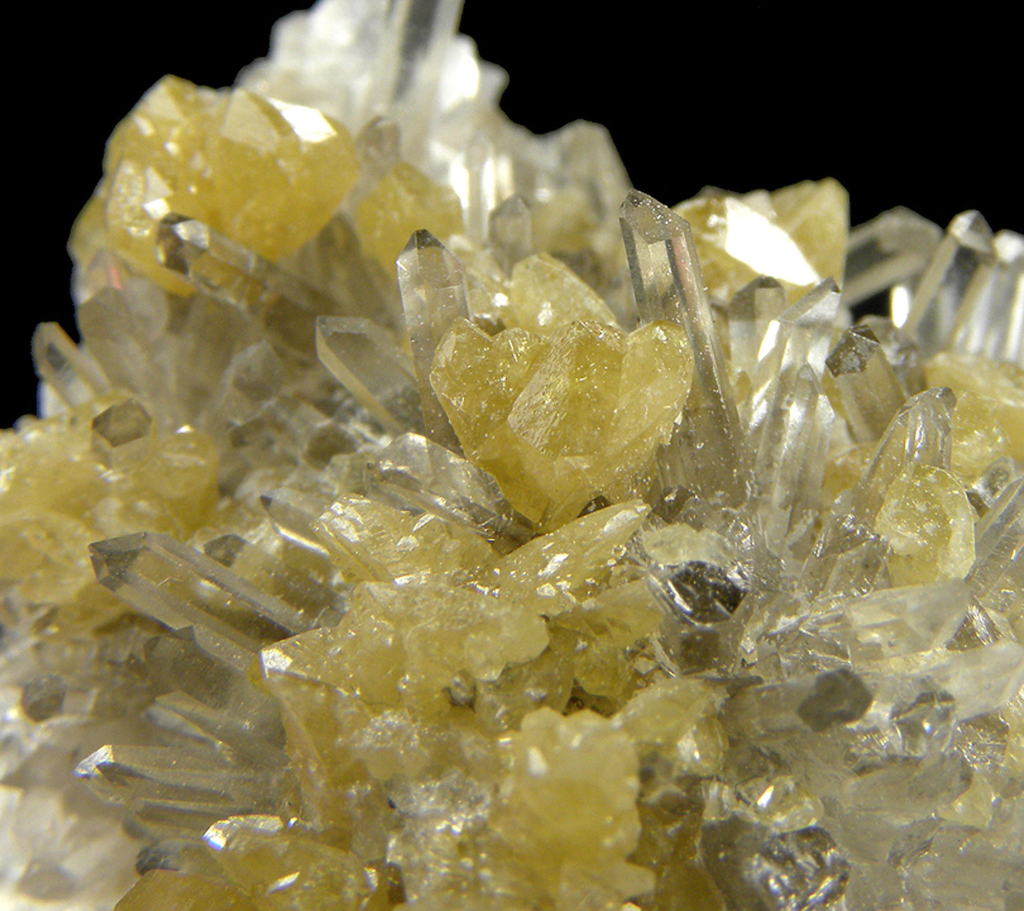 Monazite-(Ce) with Quartz