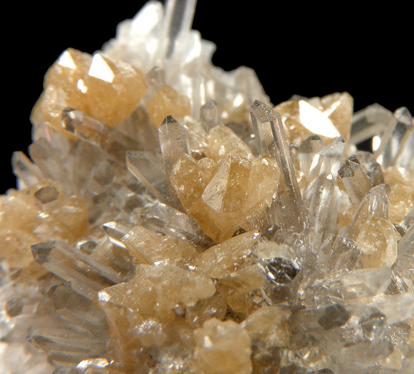 Monazite-(Ce) with Quartz