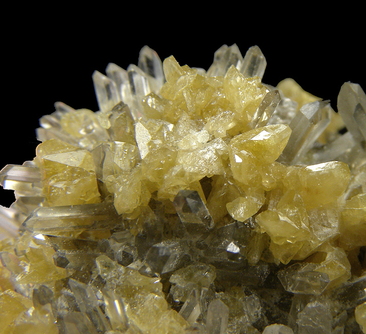 Monazite-(Ce) with Quartz