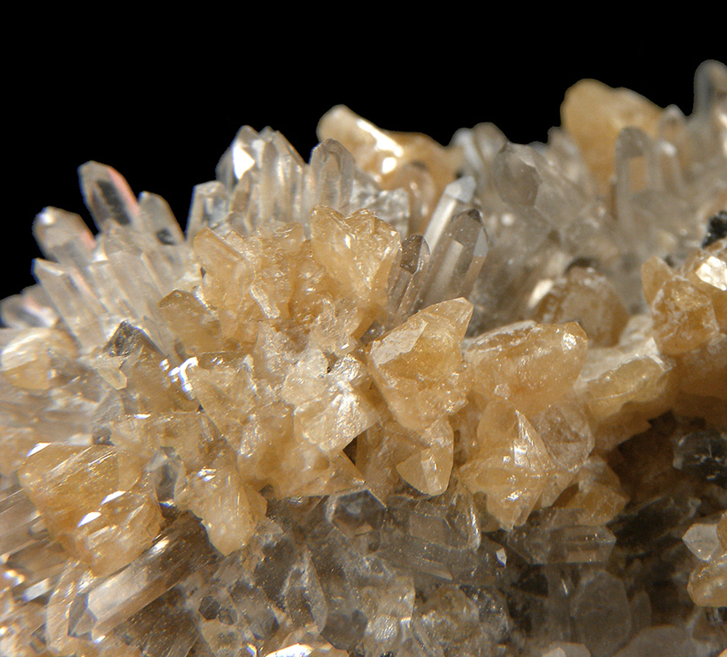 Monazite-(Ce) with Quartz