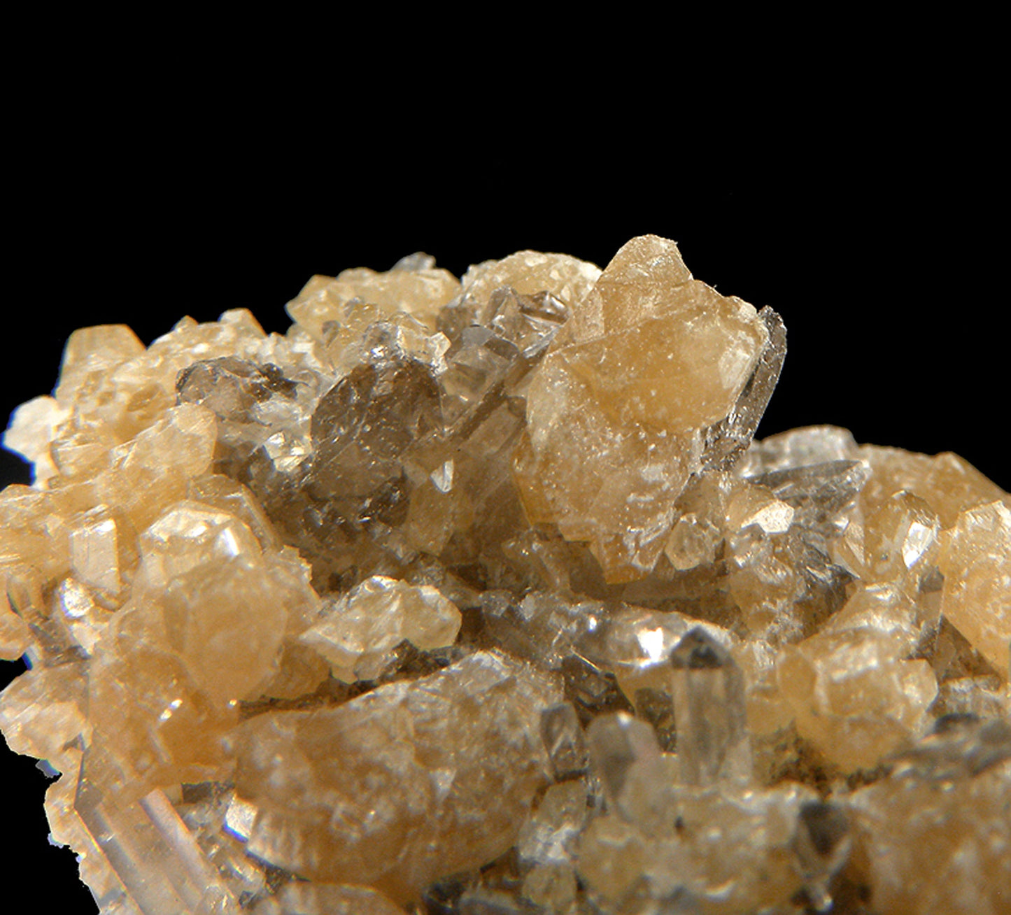 Monazite-(Ce) with Quartz