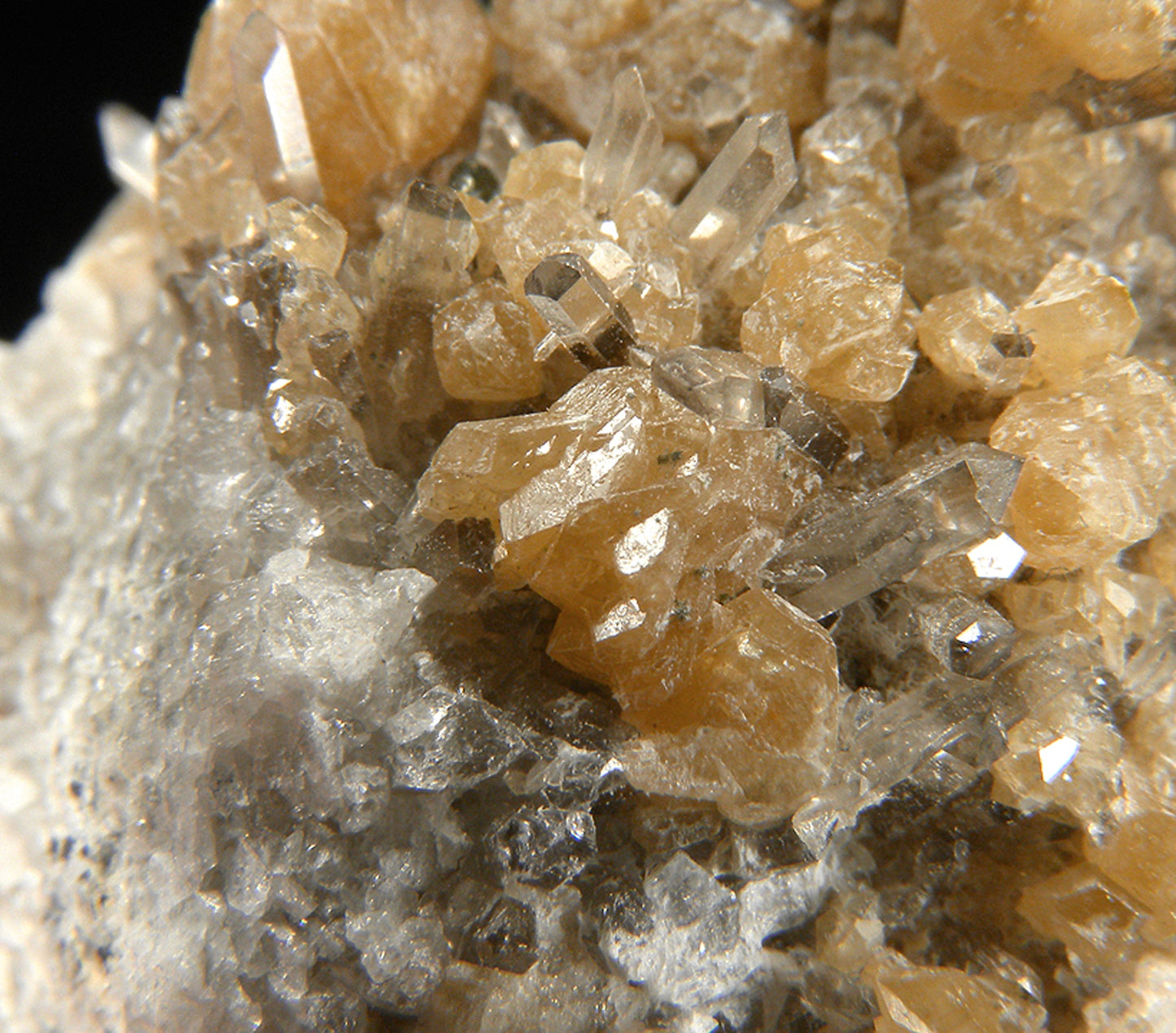 Monazite-(Ce) with Quartz