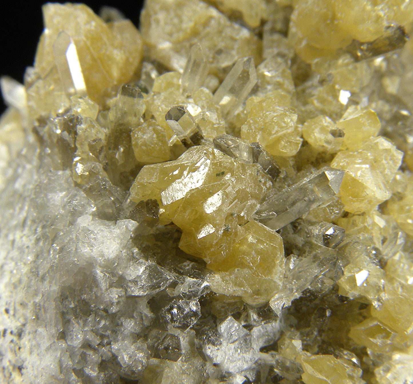 Monazite-(Ce) with Quartz