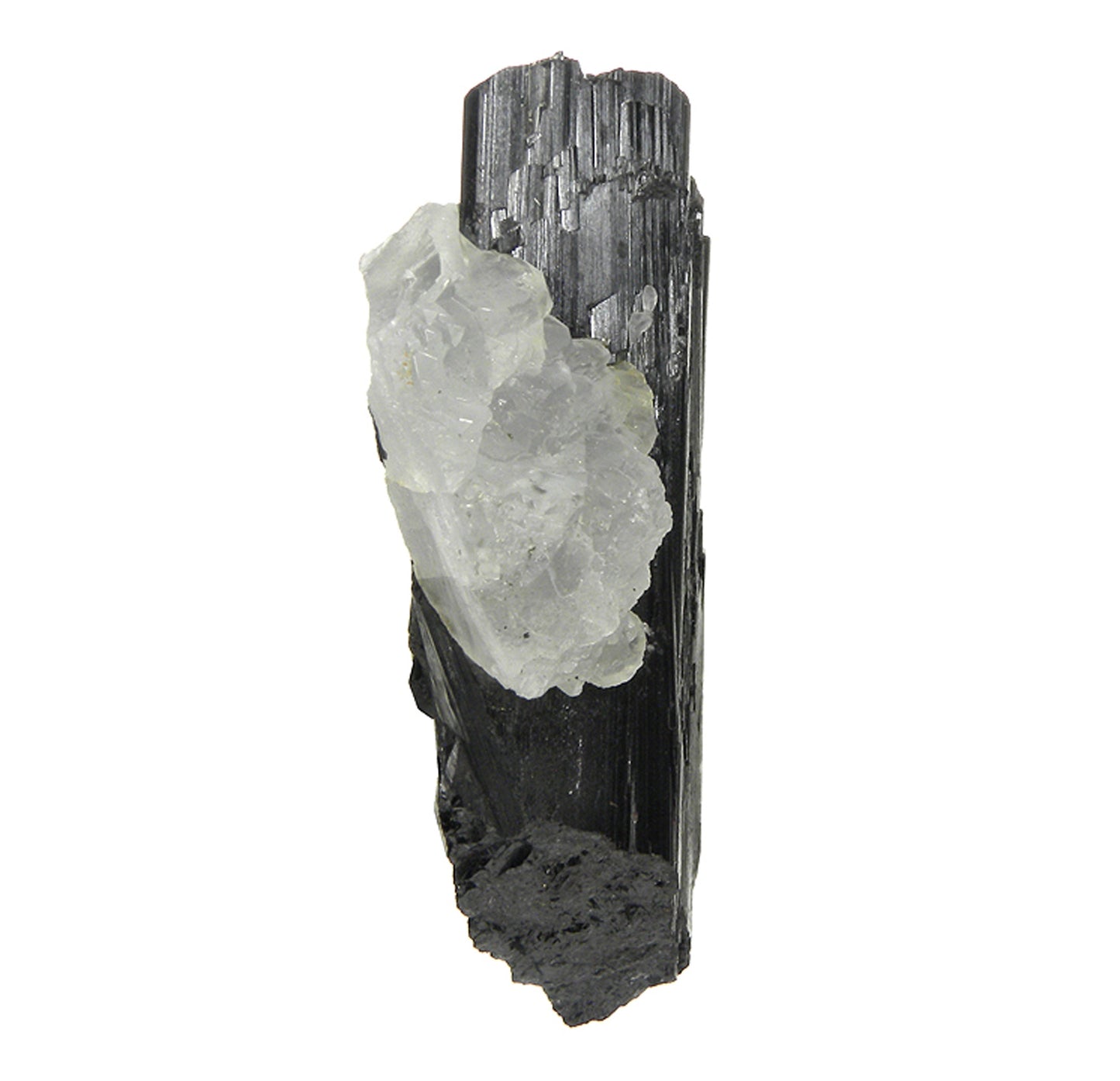 Hubnerite with Fluorite
(rare locality specimen)