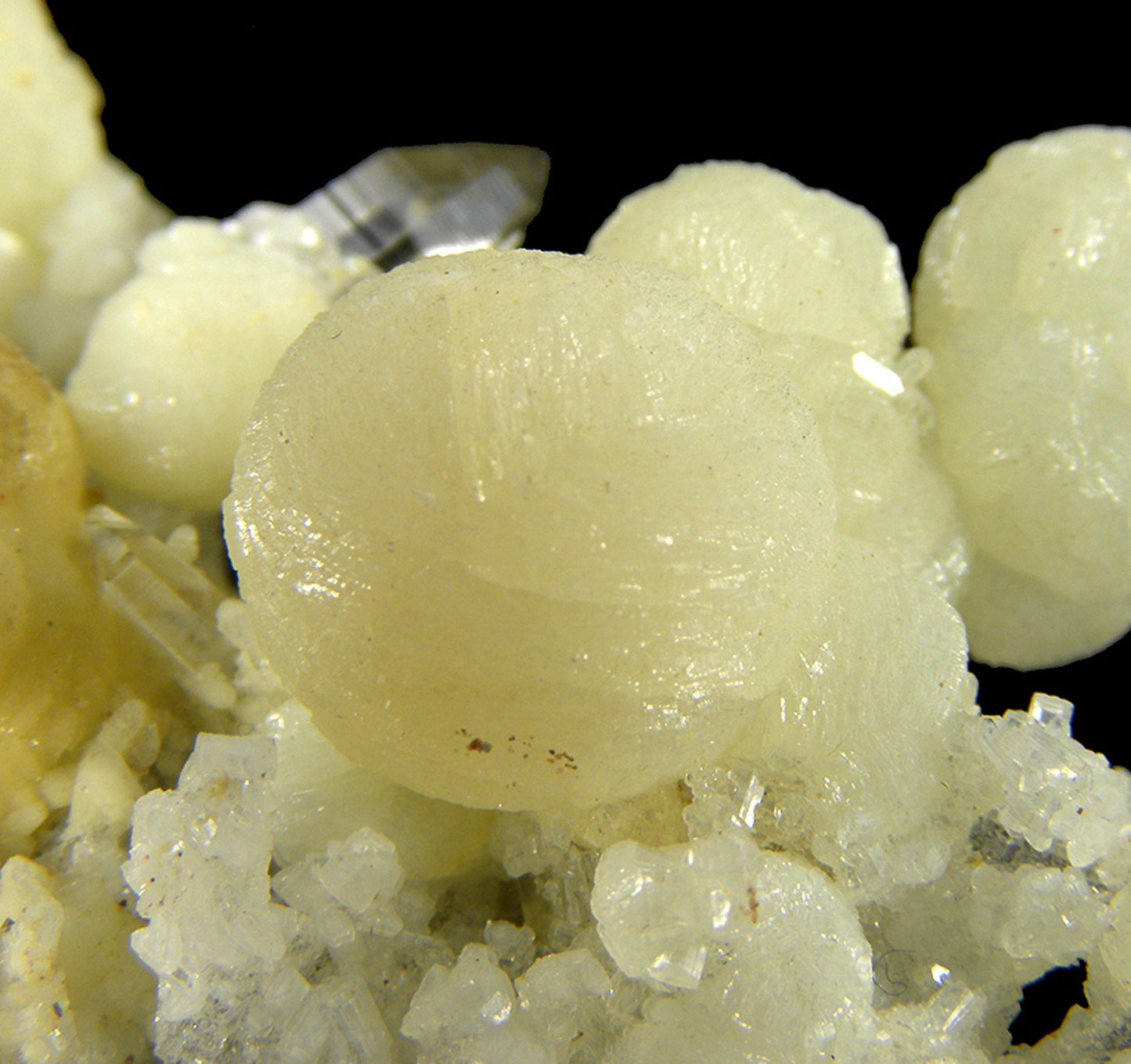 Wavellite with Quartz