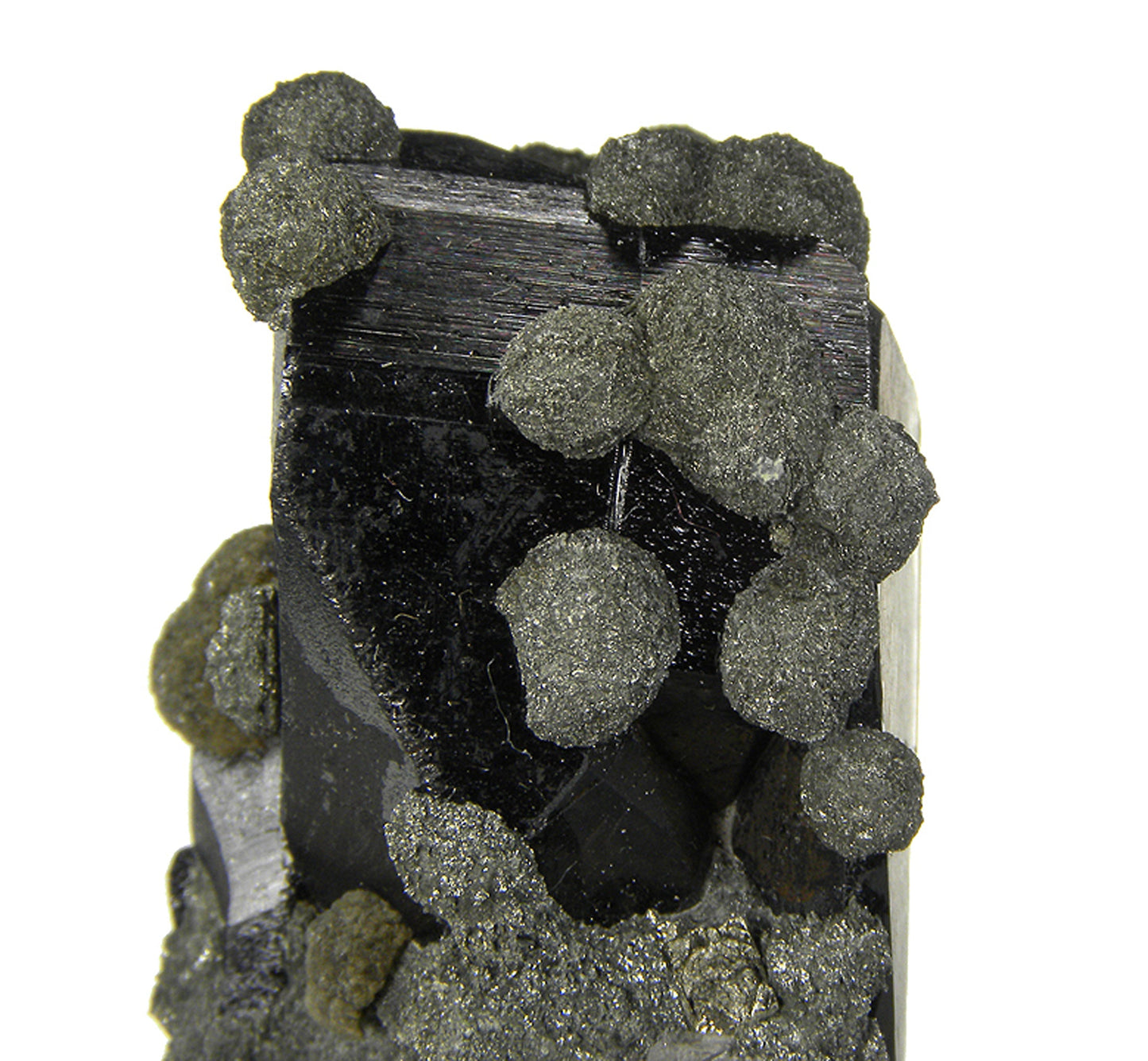 Ferberite with Marcasite and Arsenopyrite