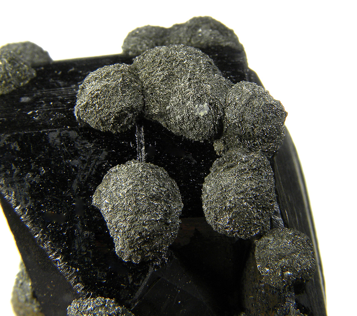 Ferberite with Marcasite and Arsenopyrite