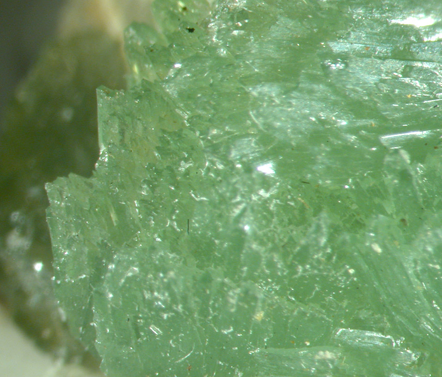 Ludlamite