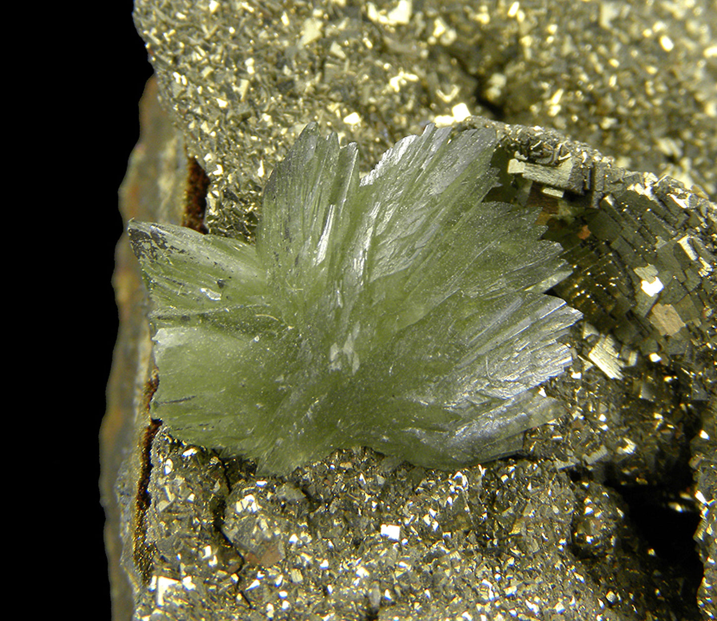 Ludlamite on Pyrite
