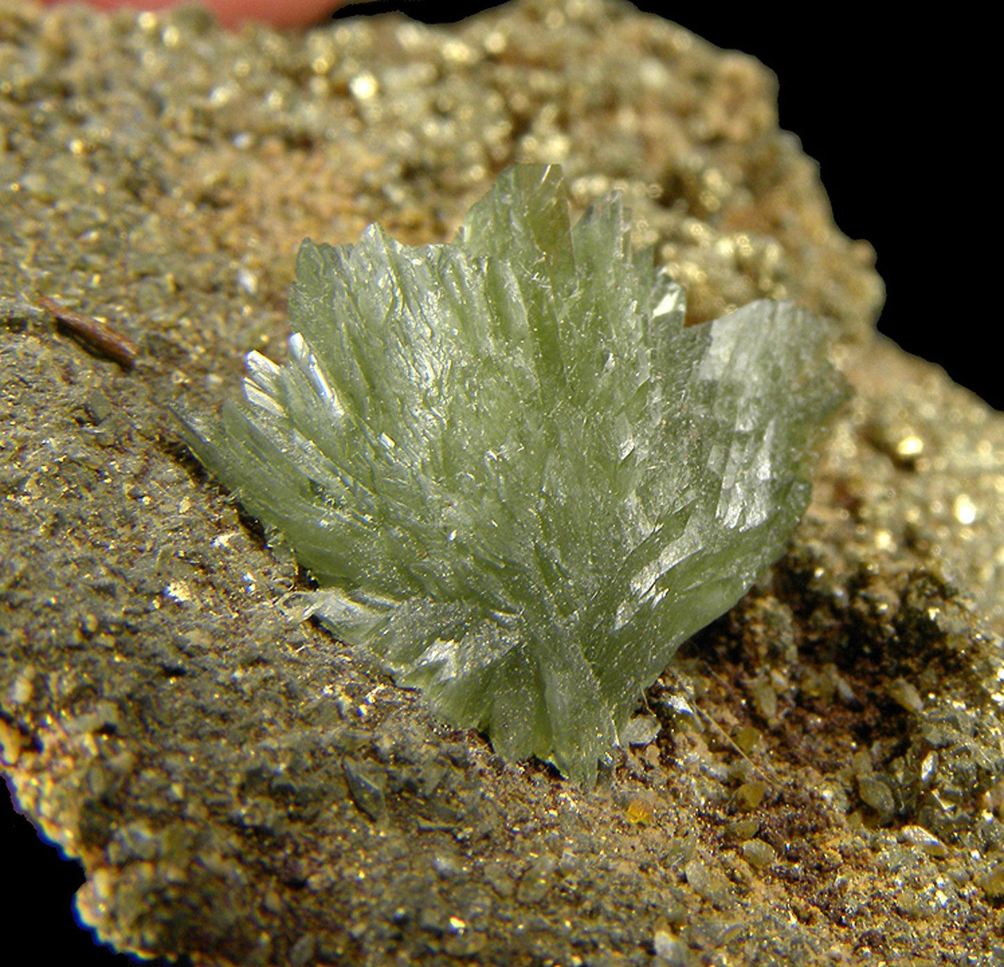 Ludlamite on Pyrite