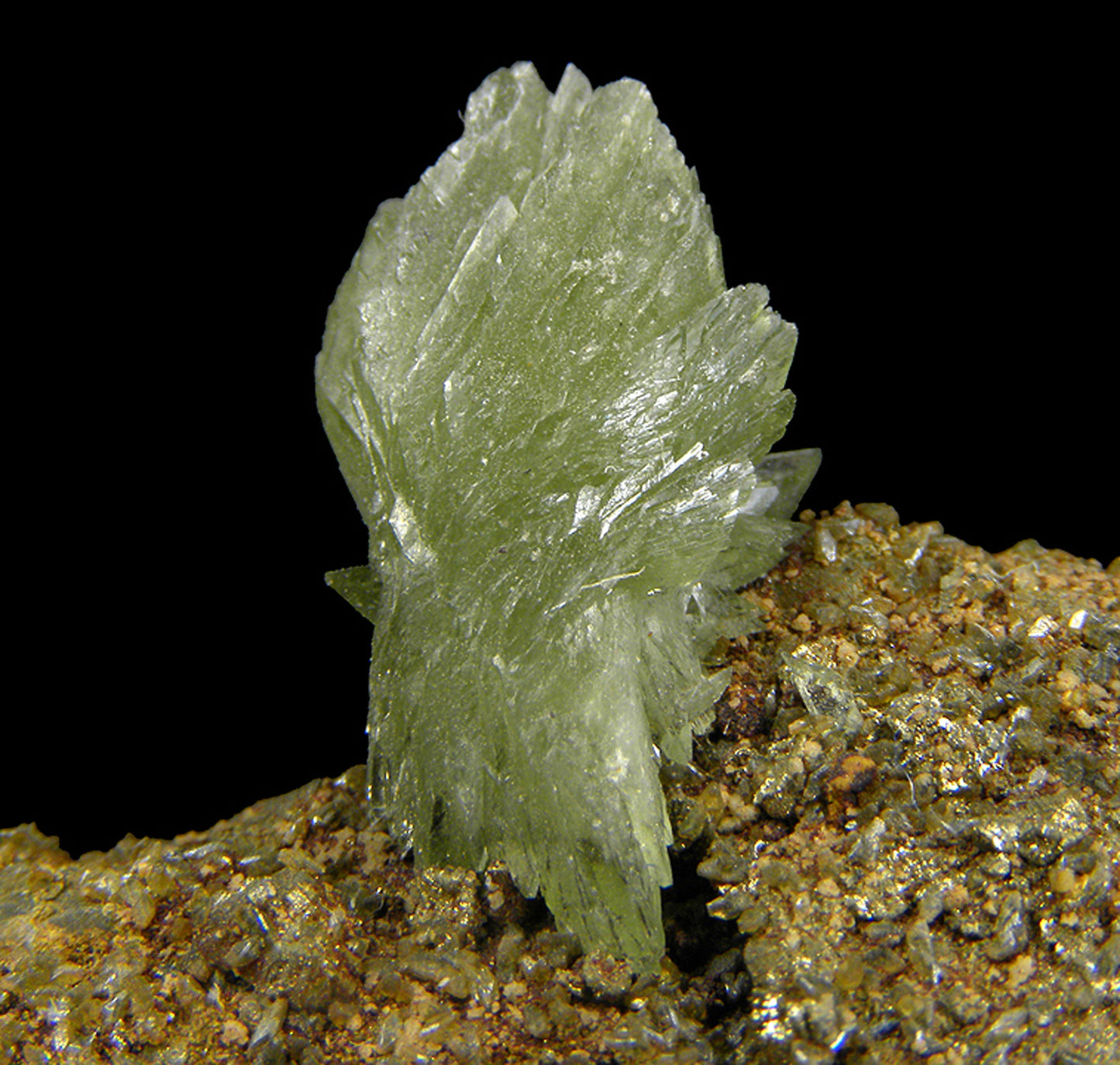 Ludlamite with Vivianite on matrix