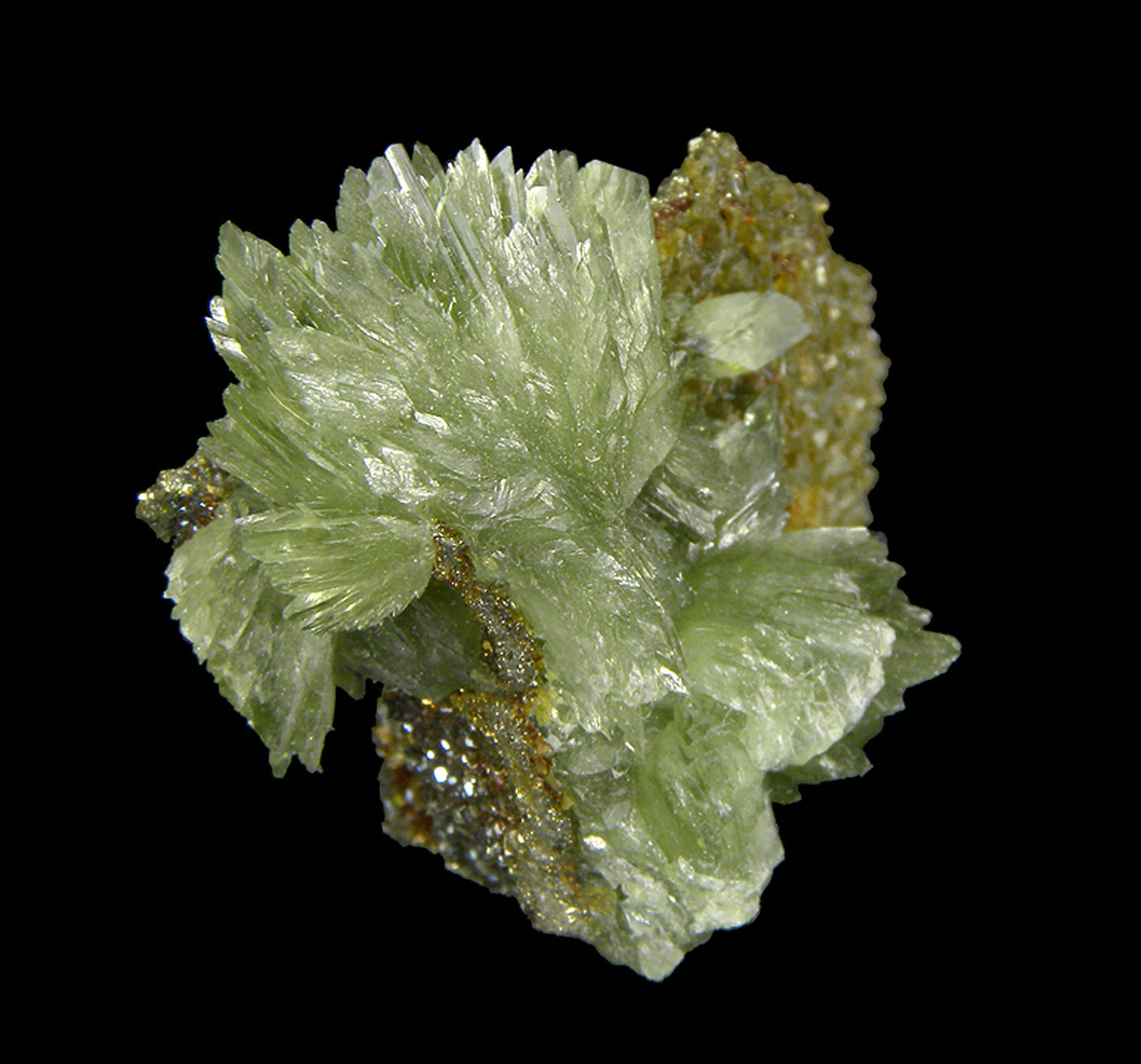 Ludlamite with Siderite on Pyrite