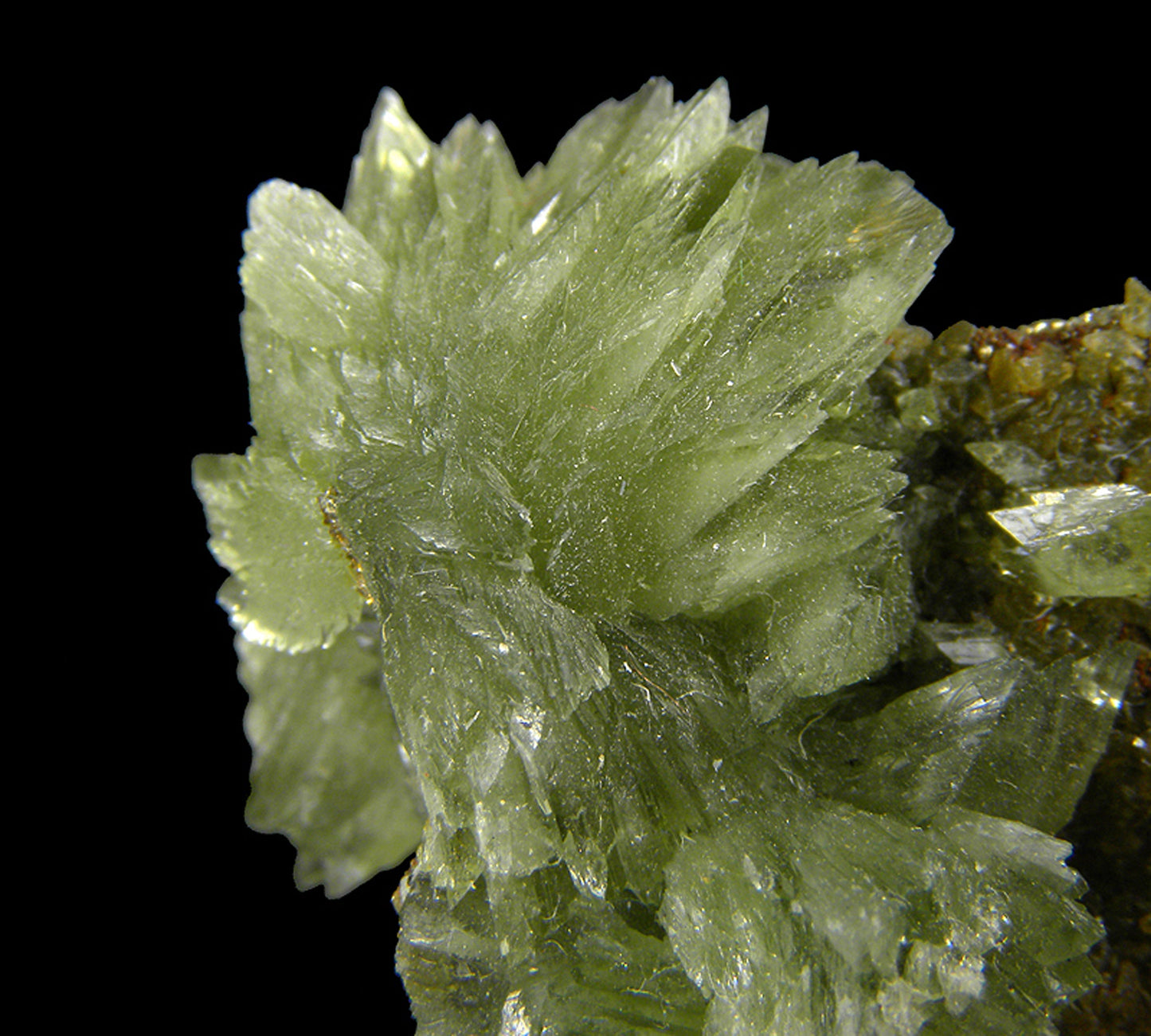 Ludlamite with Siderite on Pyrite