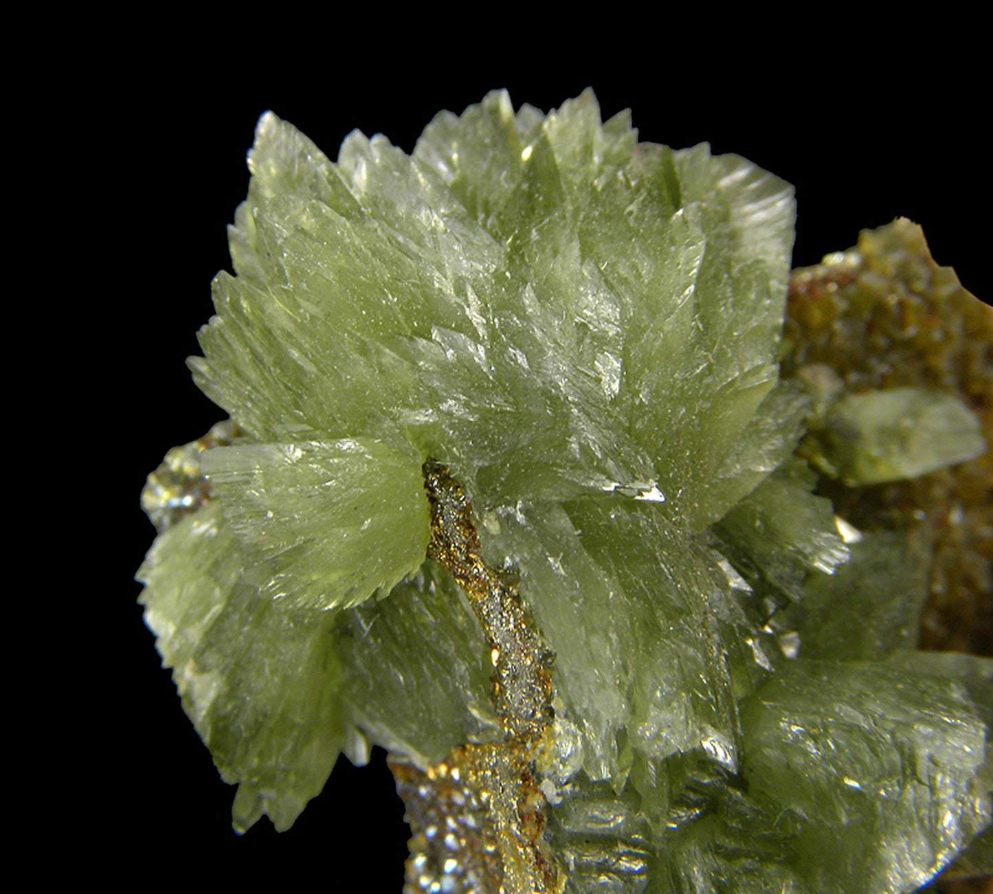 Ludlamite with Siderite on Pyrite