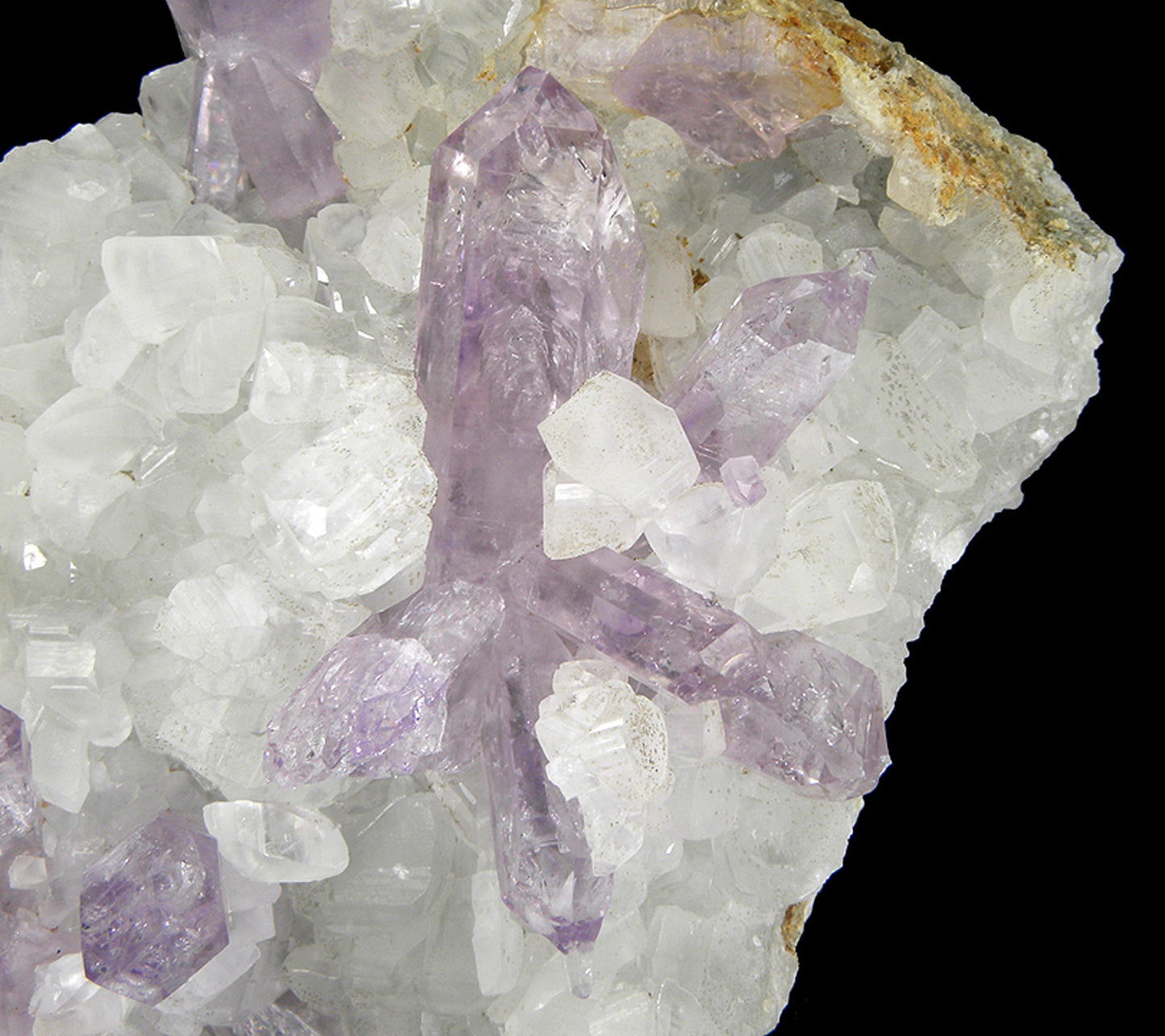 Amethyst on Calcite
(reverse scepters)