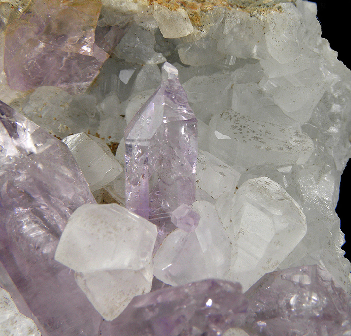 Amethyst on Calcite
(reverse scepters)