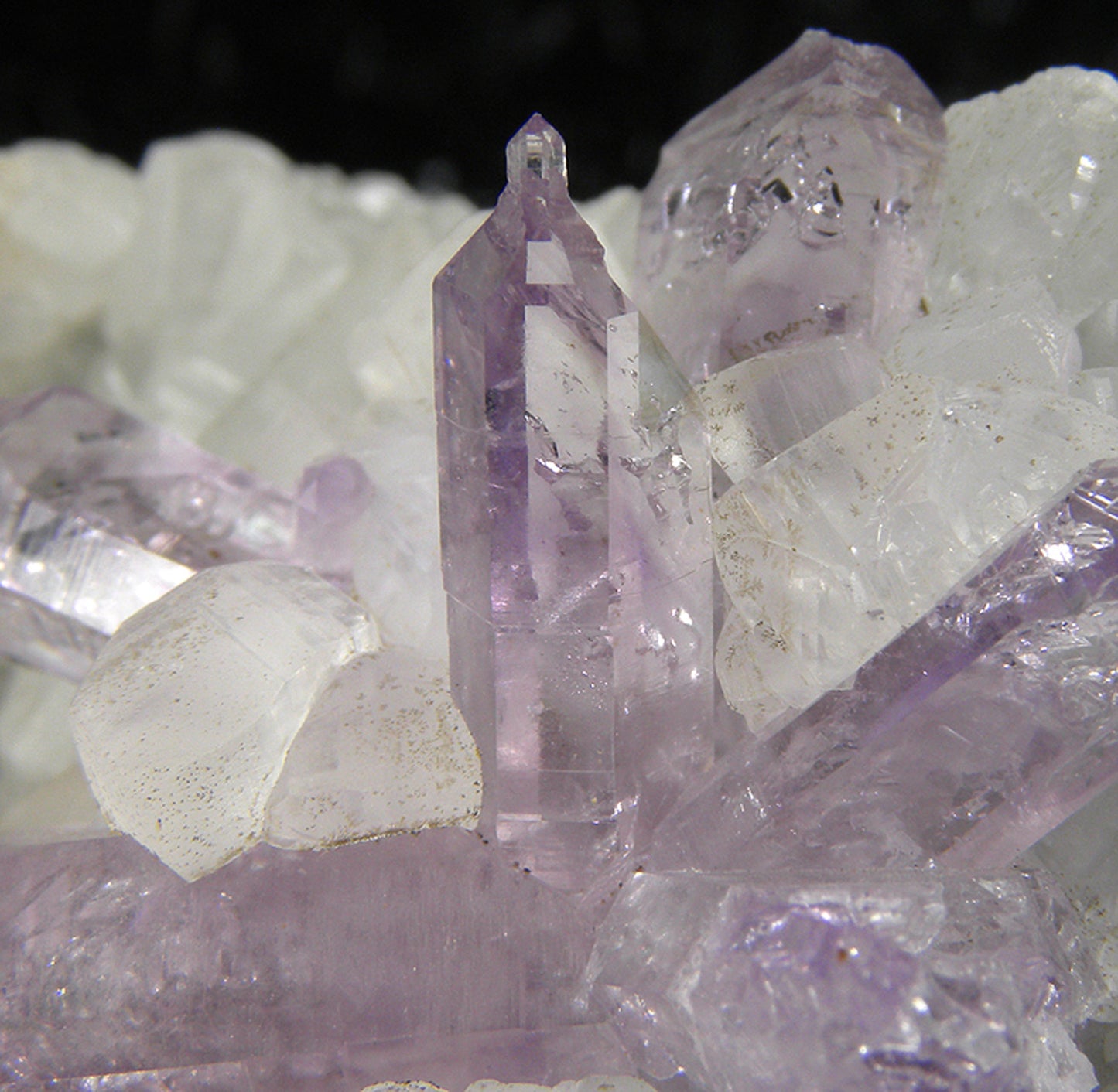 Amethyst on Calcite
(reverse scepters)