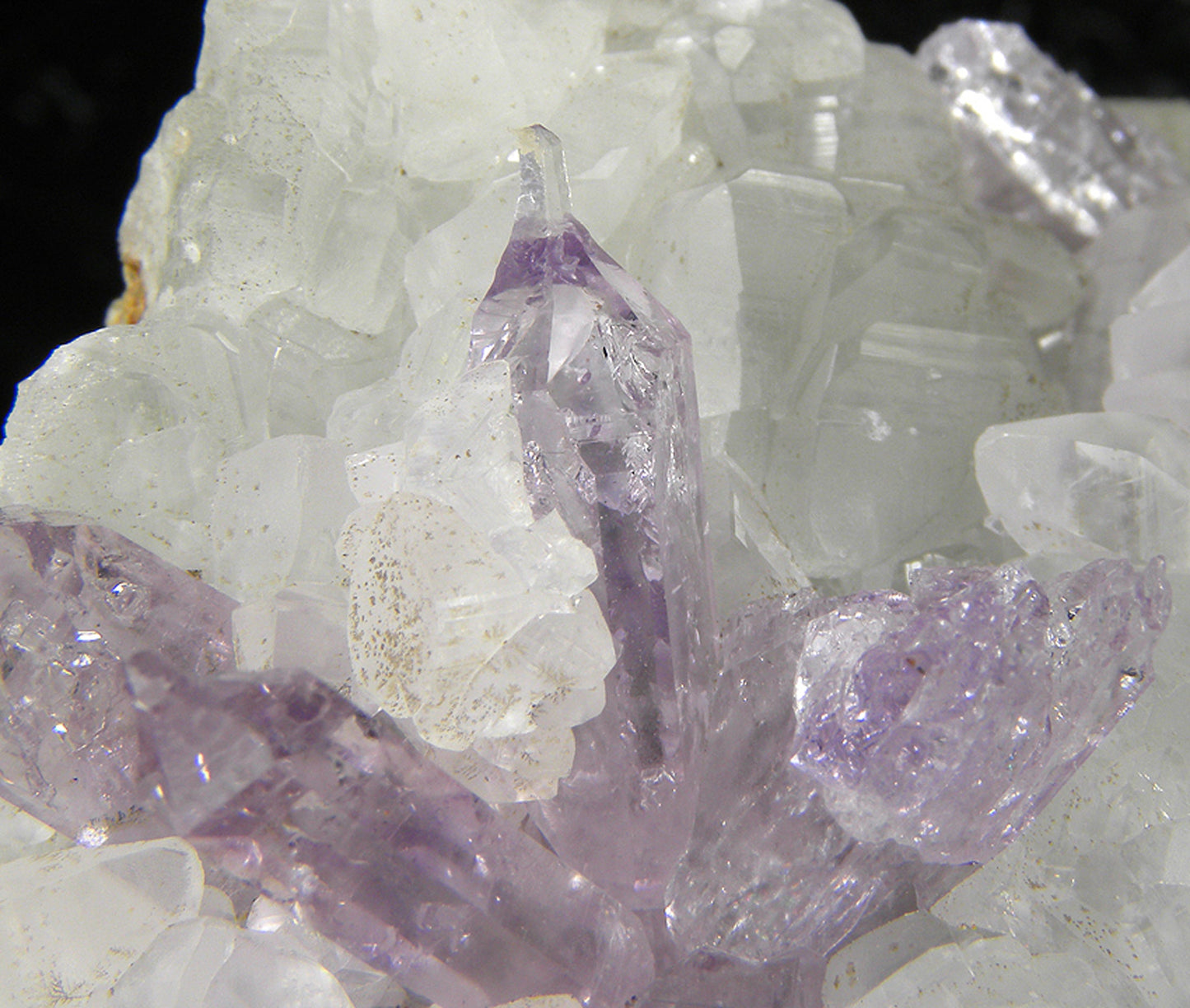 Amethyst on Calcite
(reverse scepters)