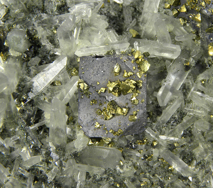 Galena with Chalcopyrite and Quartz