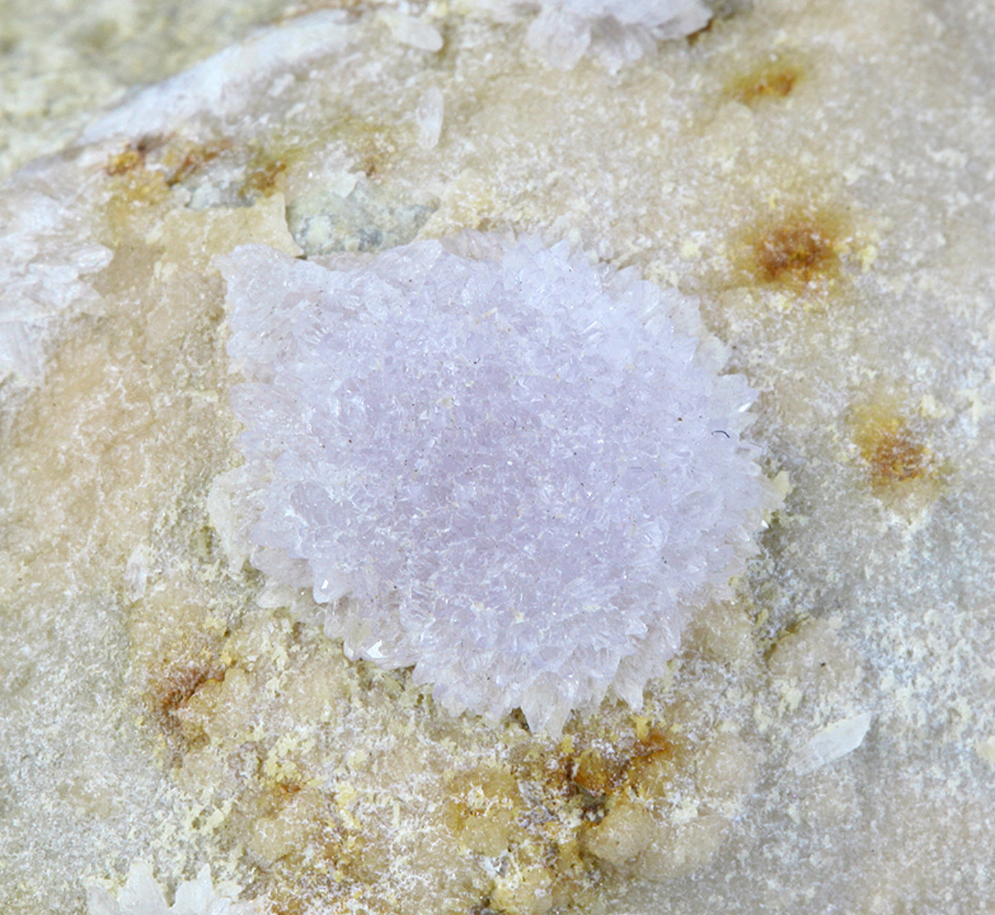 Creedite