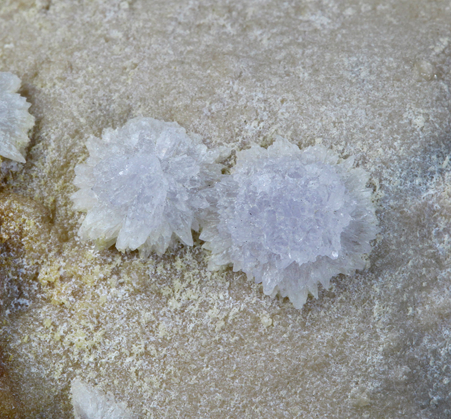 Creedite
