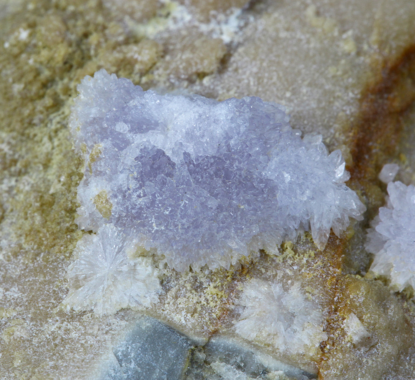 Creedite