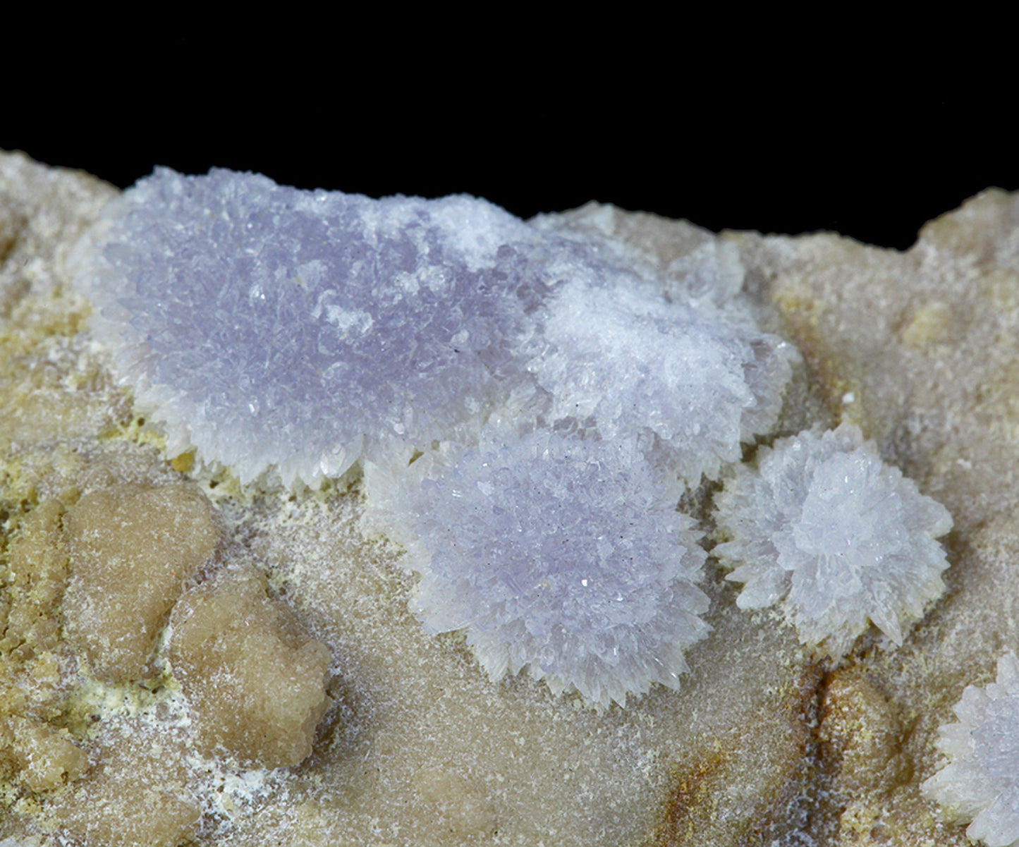 Creedite