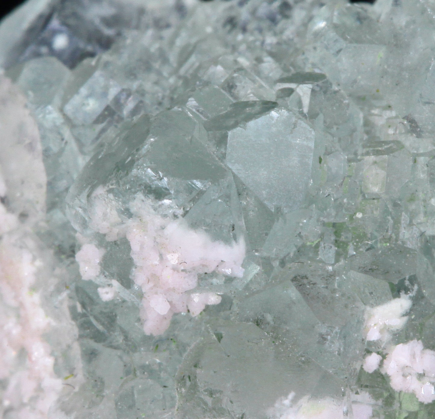 Fluorite with Rhodochrosite