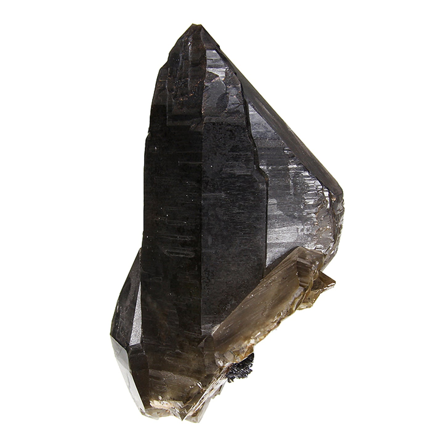 Quartz (var: Smoky) with Goethite