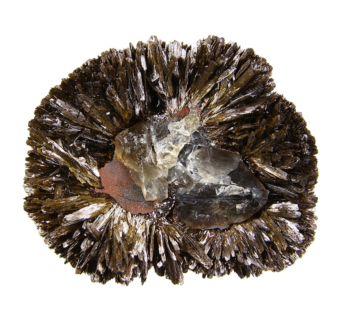 Goethite with Quartz (var: Smoky)