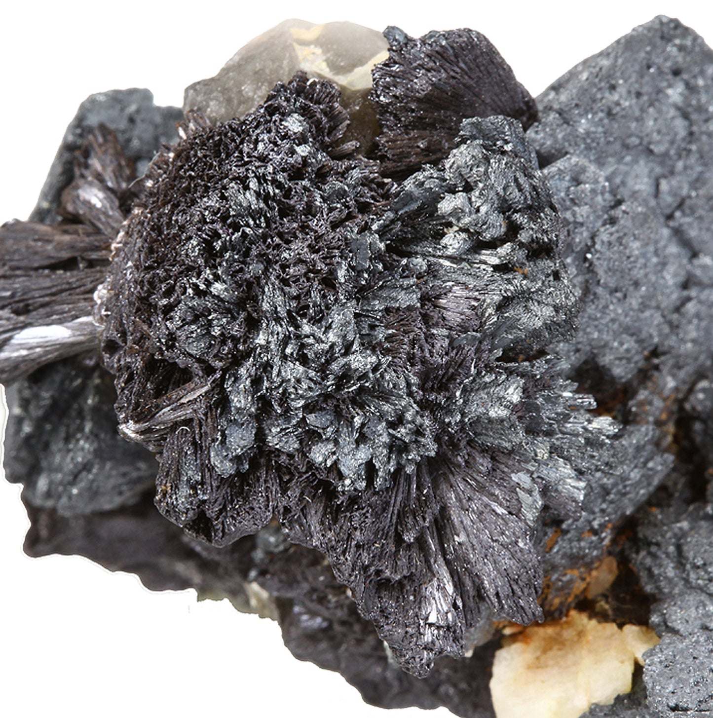Hematite pseudomorphs after Siderite with Goethite and Quartz (var: Smoky)
