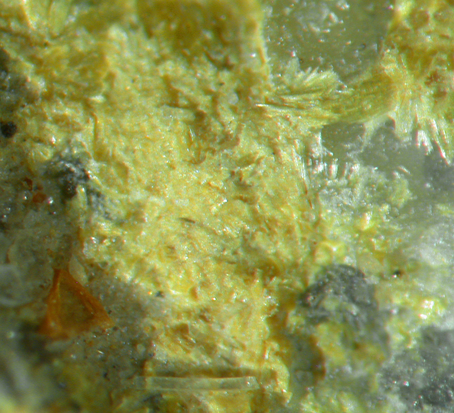 Ferrimolybdite / Molybdite