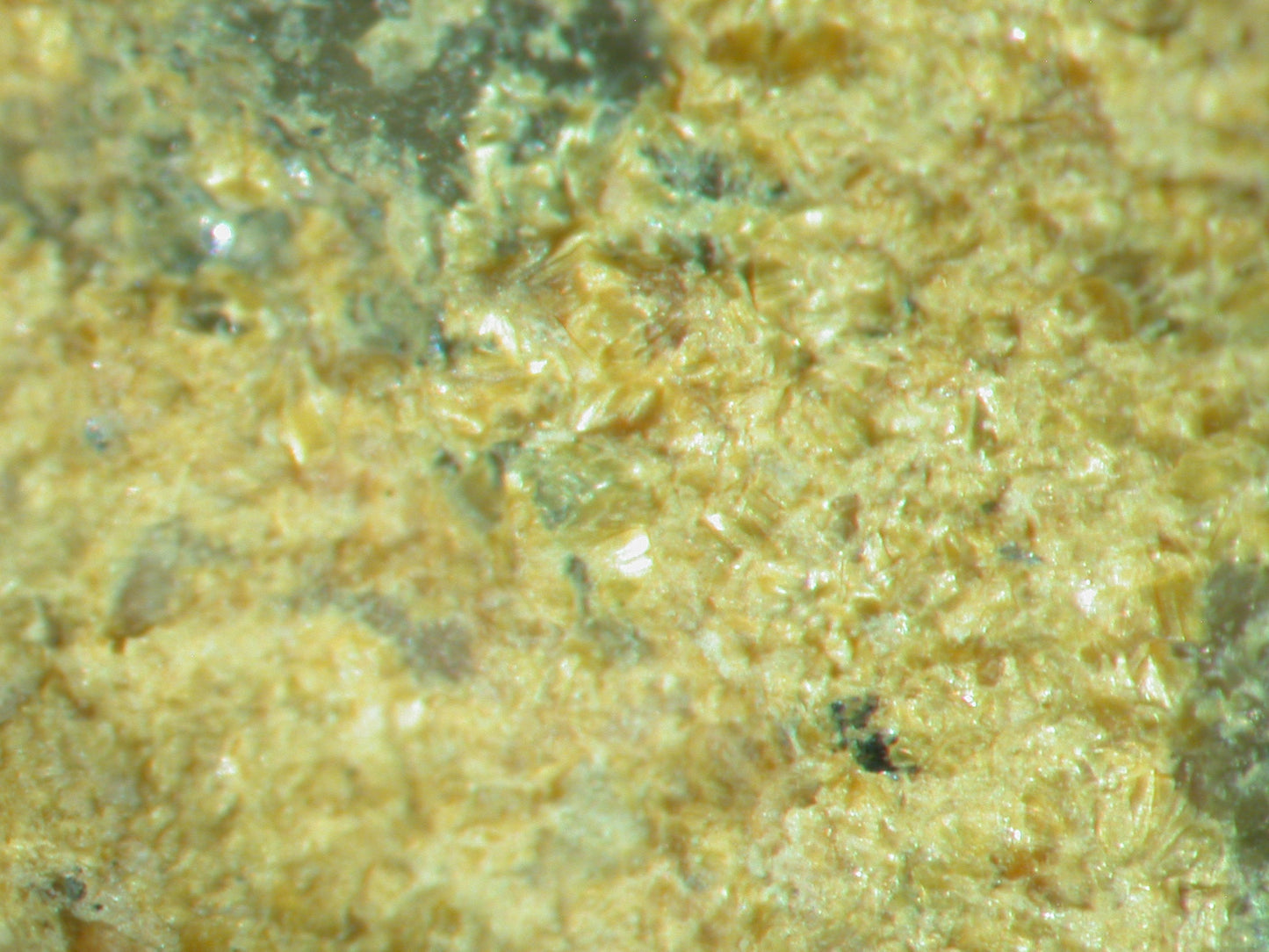 Ferrimolybdite / Molybdite