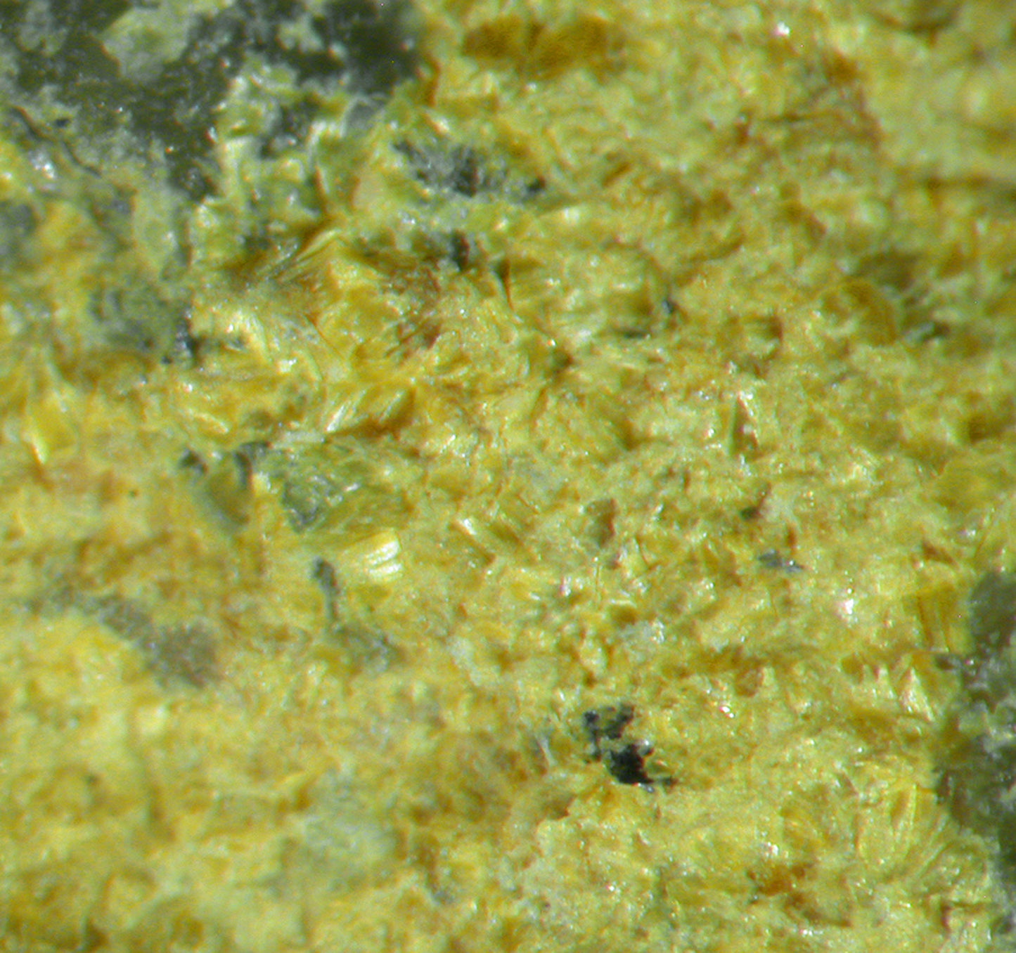 Ferrimolybdite / Molybdite