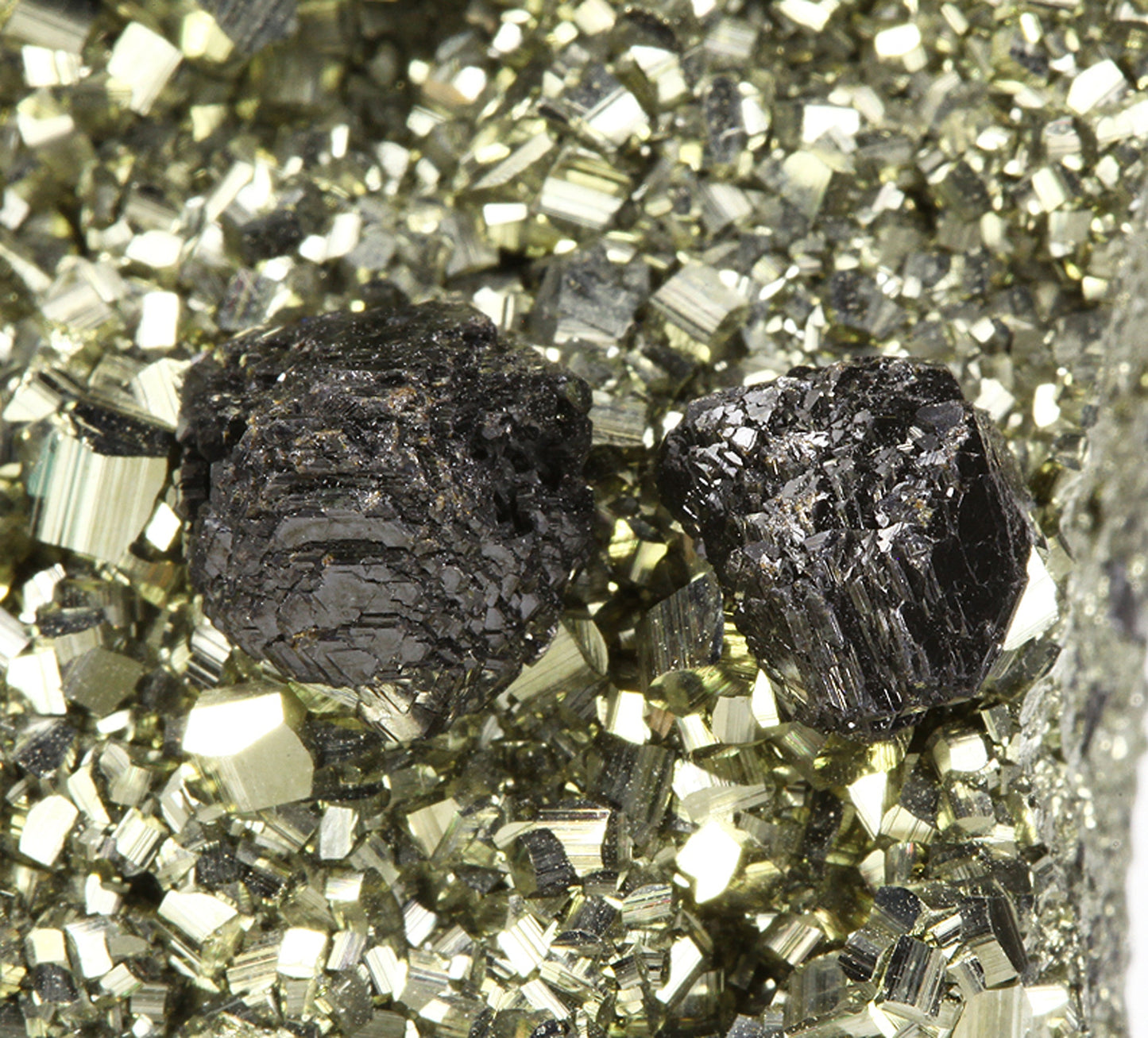 Sphalerite on Pyrite