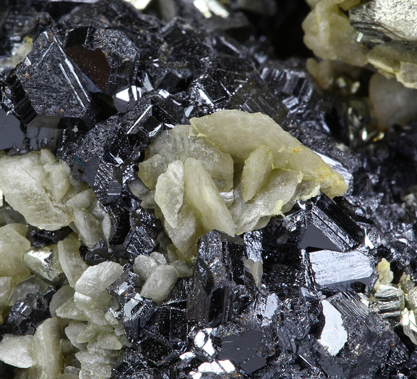 Pyrite “horseshoe” with Siderite on Sphalerite