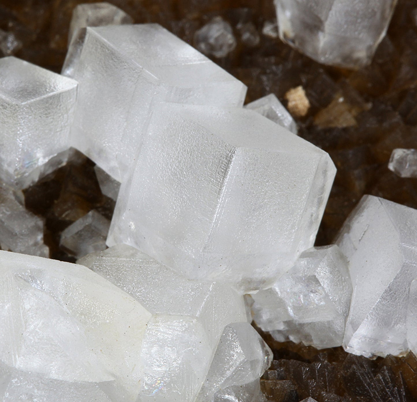 Calcite with Siderite