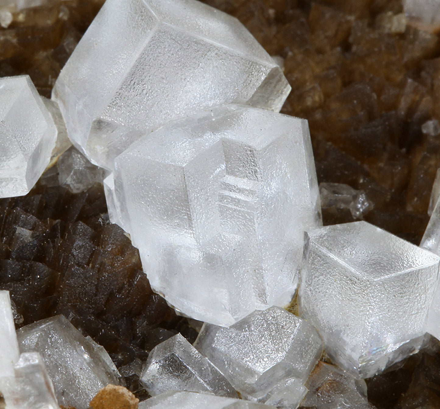 Calcite with Siderite
