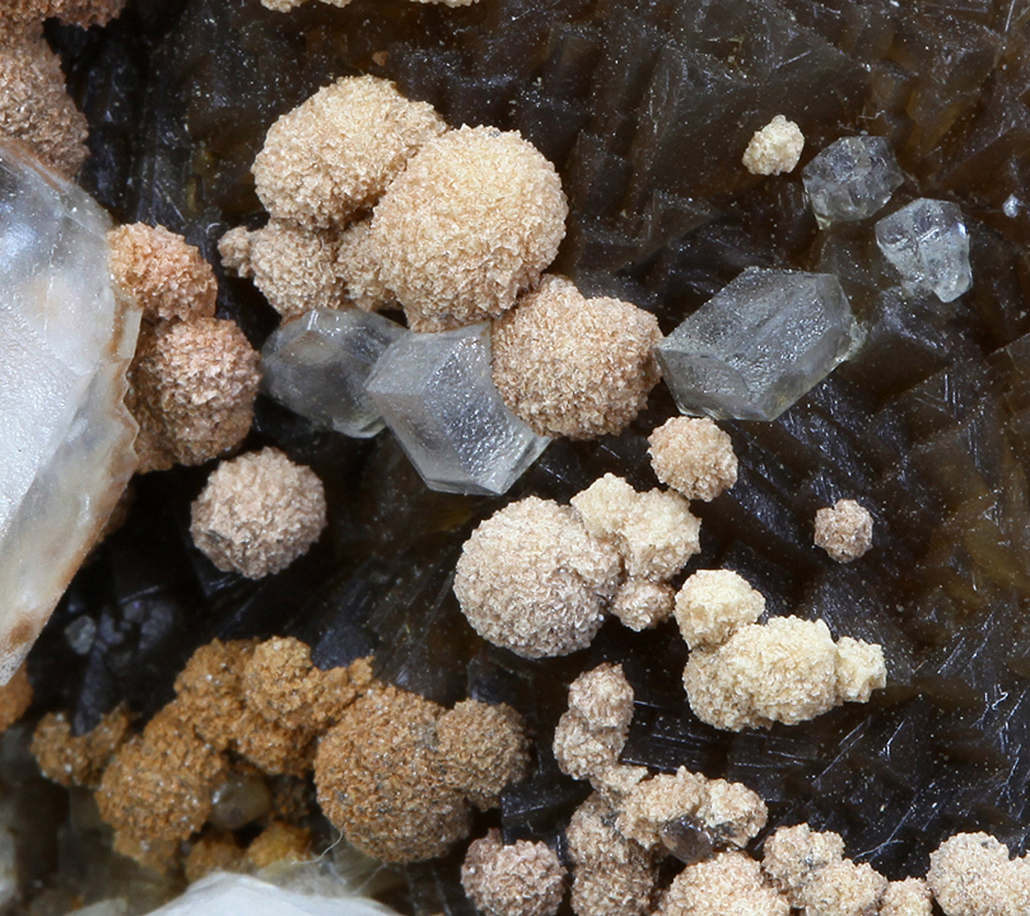Calcite with Siderite