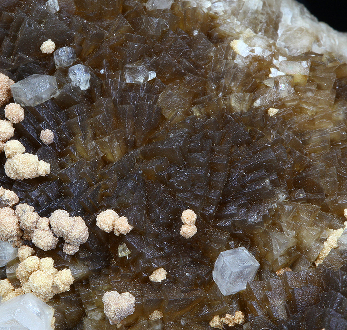 Calcite with Siderite