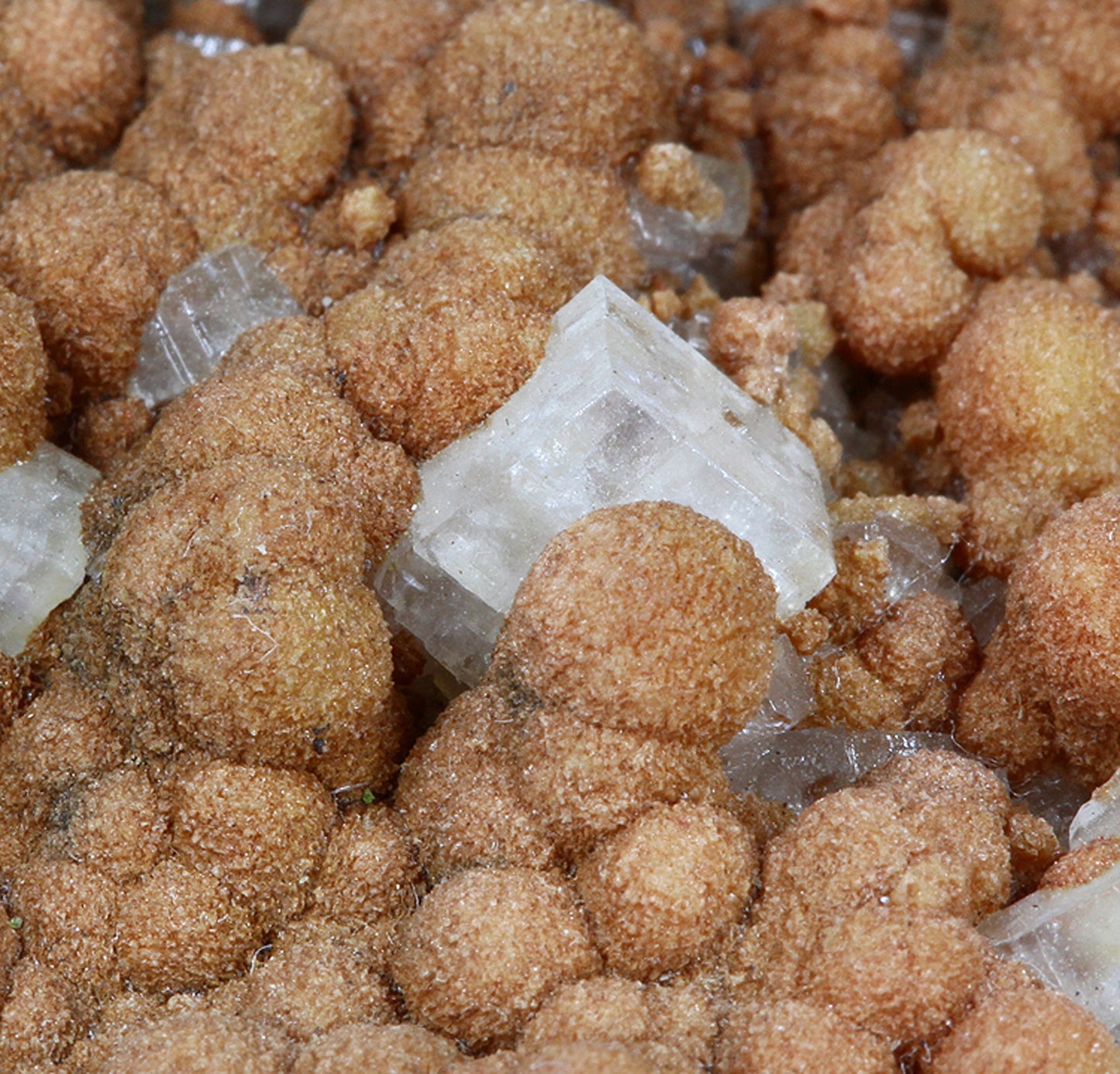 Calcite with Siderite