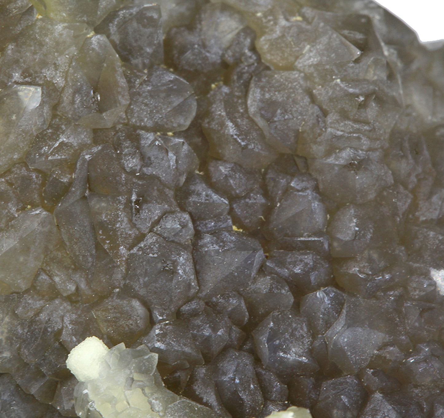 Chalcedony on Smoky Quartz “casts” after Laumontite