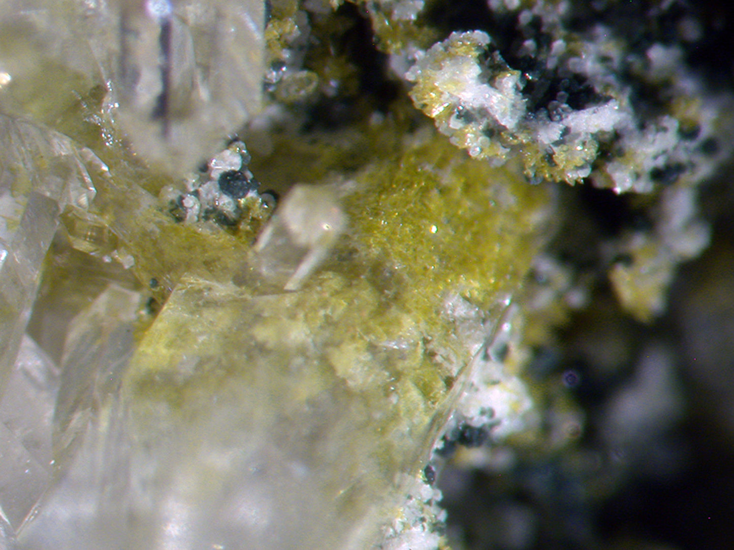 Quartz with Epidote