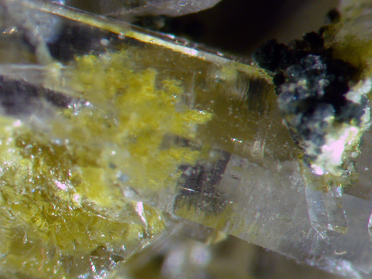 Quartz with Epidote