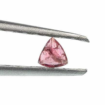 Eudialyte
