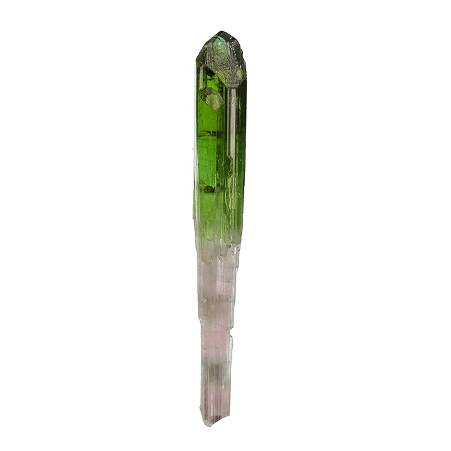 Tourmaline
(Scepter)